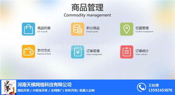 小程序開發(fā) 天梯網絡 陜西小程序開發(fā)